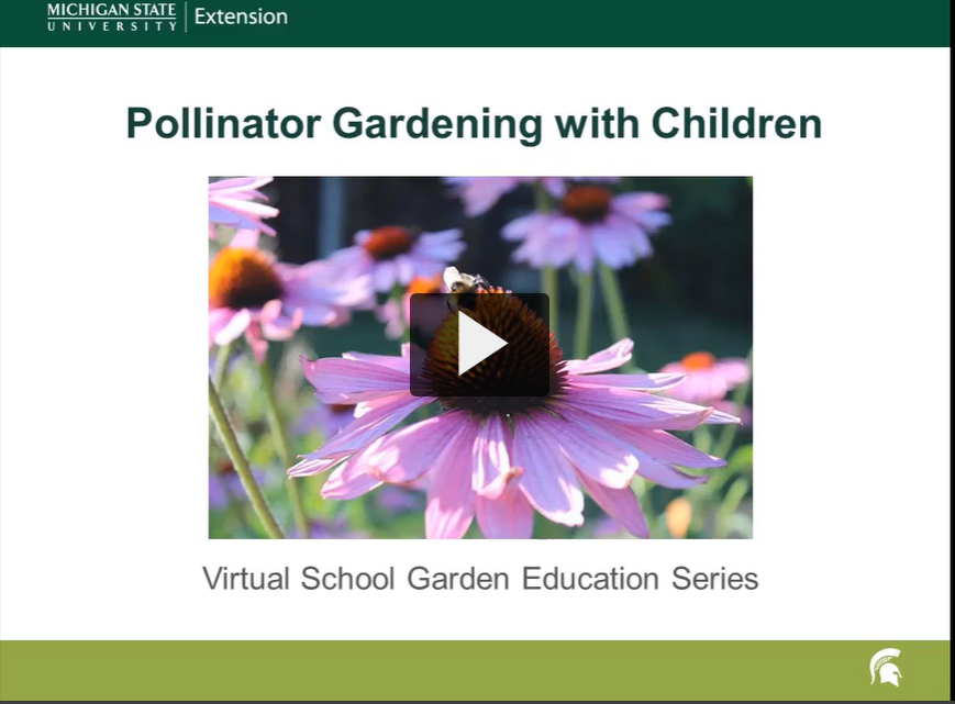 Pollinator Gardening with Children Webinar
